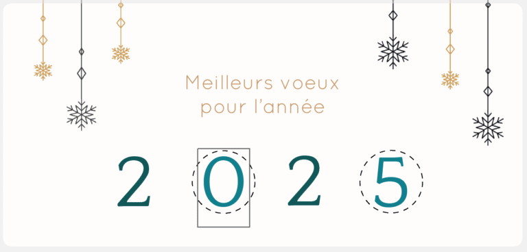 capture d'écran 2025 07 15 220104